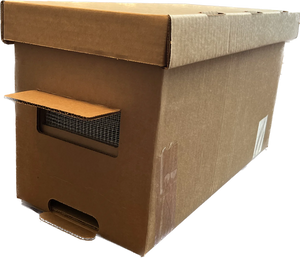 Development of a eco-friendly nuc box. Used to transport a hive