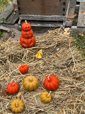 The beeswax pumpkin batch. Cute candles for Halloween and Thanksgiving.