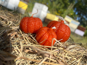 The pumpkin votive has three pumpkins. Perfect décor for Thanksgiving.