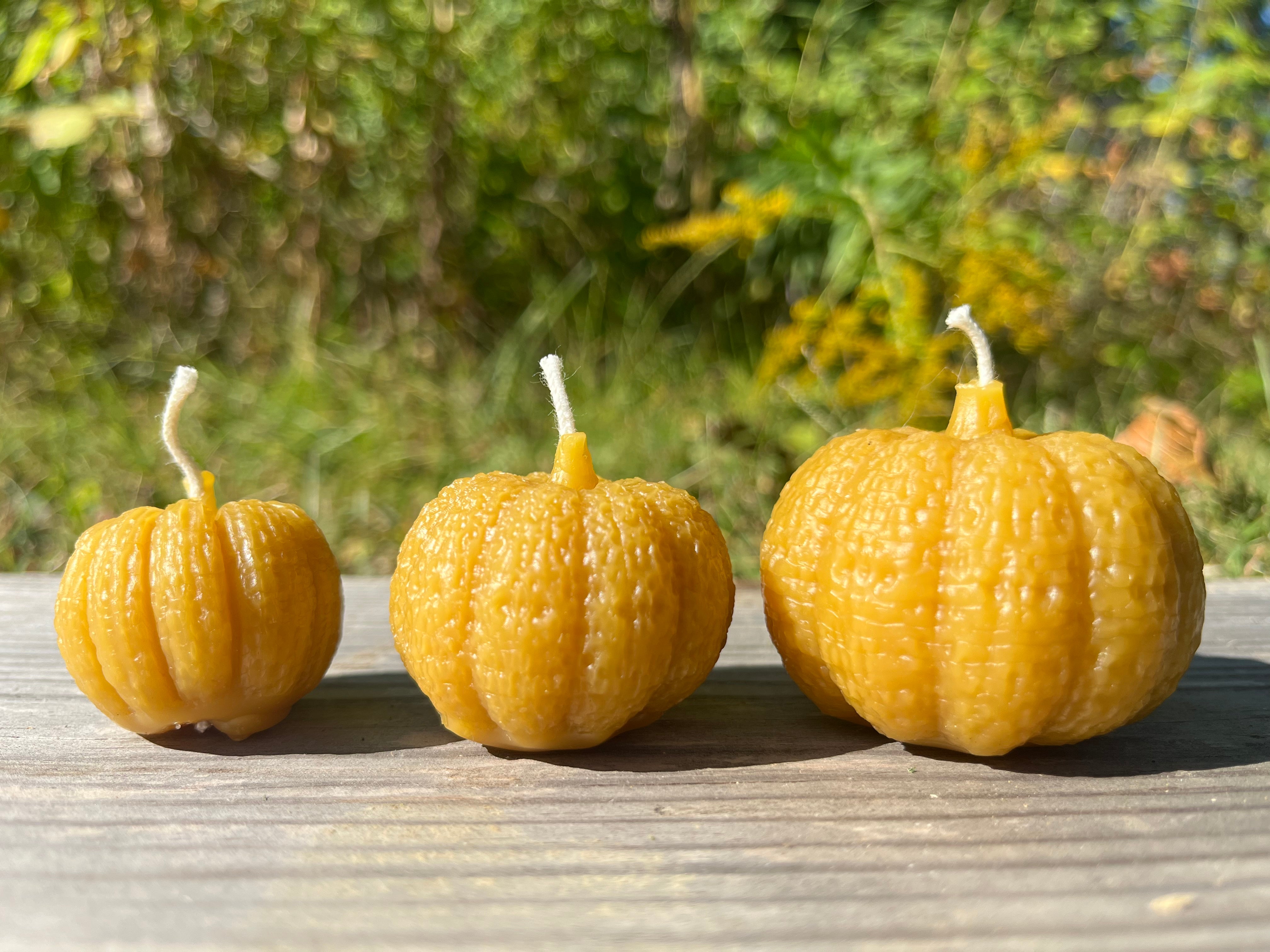 Closeup of the pumpkin votives. This is beeswax in it's natural color. Beeswax can be a variety of natural colors.