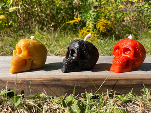 The skull has gnarly designs and comes in several Halloween colors. Even appropriate for Cinco de Mayo.
