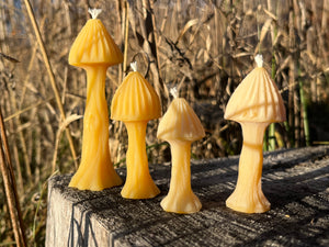The three mushroom candles come in three different sizes. The candle on the far right shows bloom. Bloom is the oxidation of beeswax. Use a hair dryer to make the candle look like new.