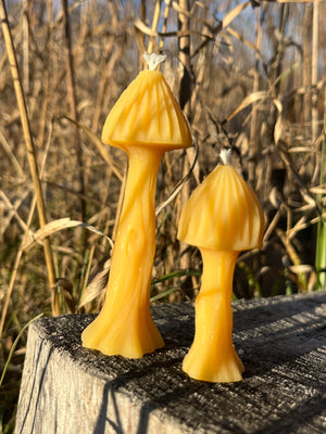 The mushroom candles is a set of 3 candles