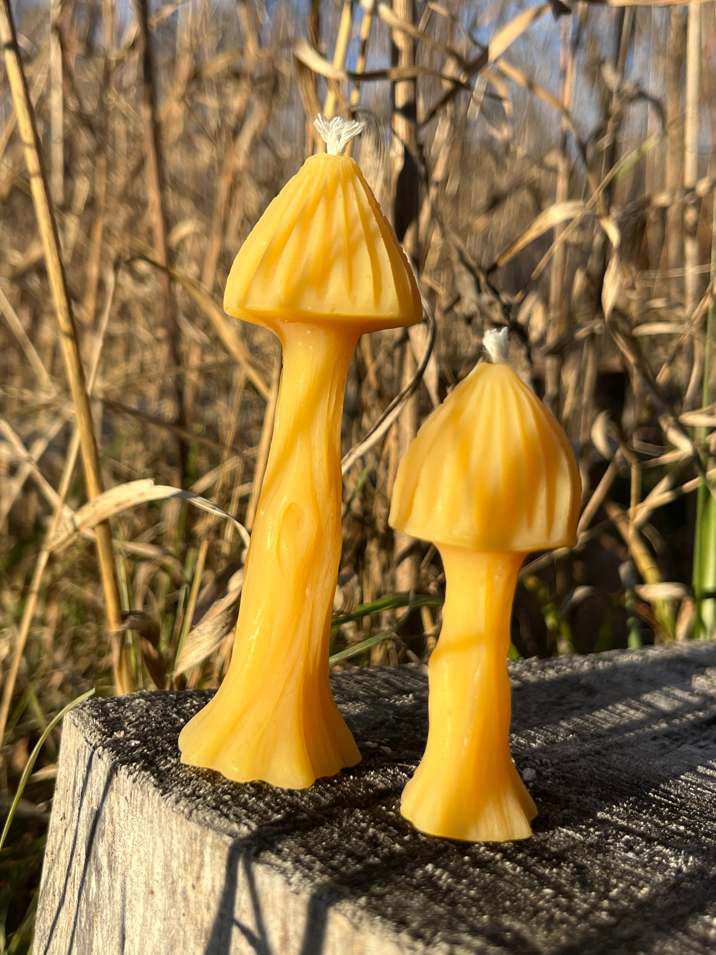 The mushroom candles is a set of 3 candles