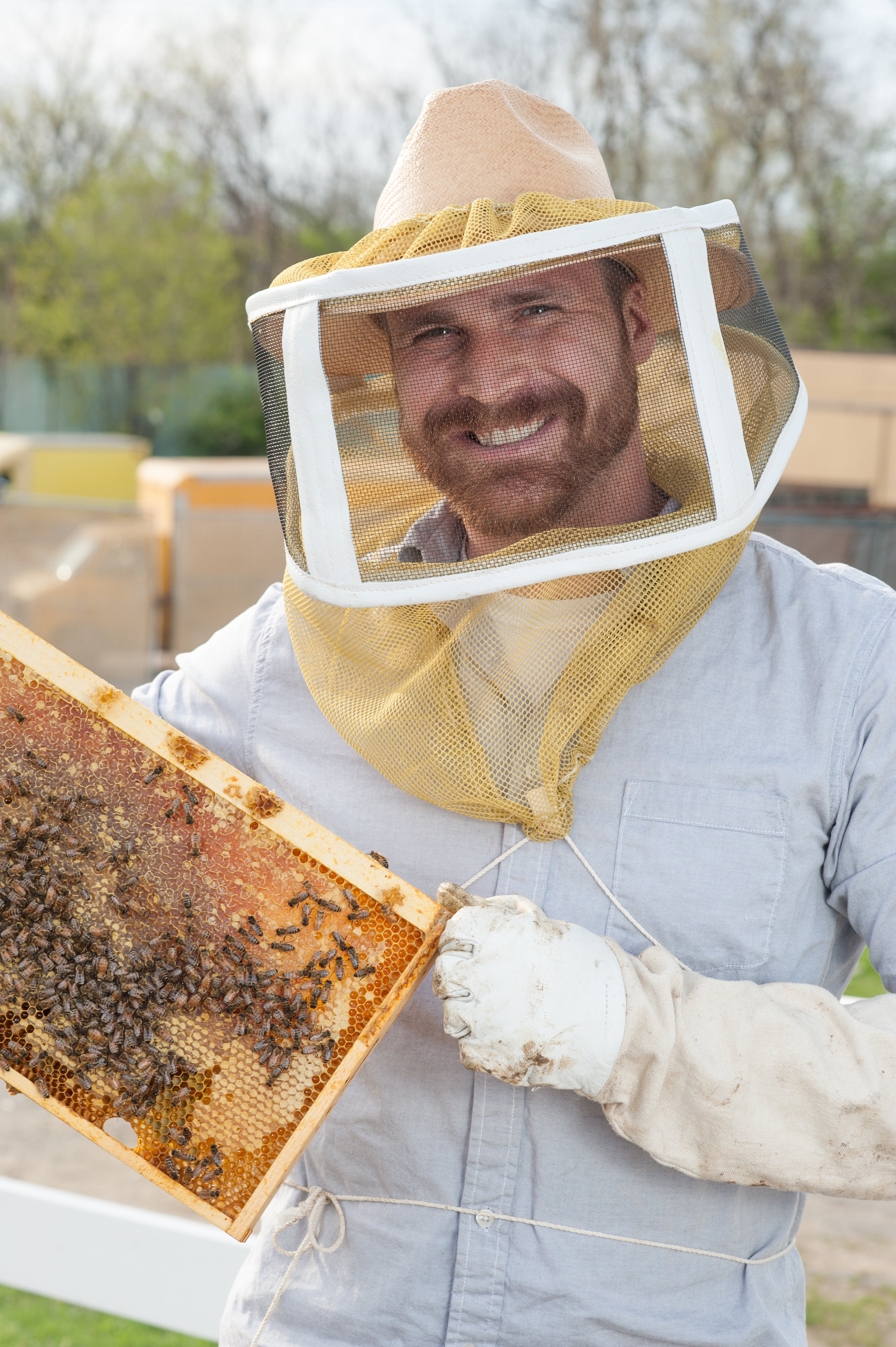 Indiana 5 Frame Nucleus Colony: Pick Up Only