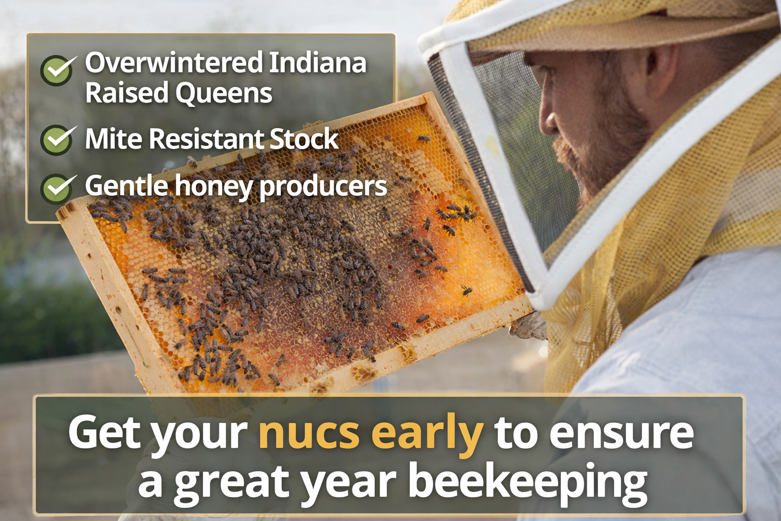 Indiana 5 Frame Nucleus Colony: Pick Up Only