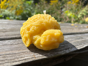 The natural color of beeswax. This the puppy face candle.