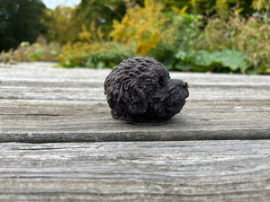 Candle of a puppy dog.