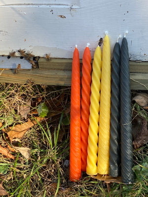 What's more spooky than Halloween? A honey bee buzzing in your hair.