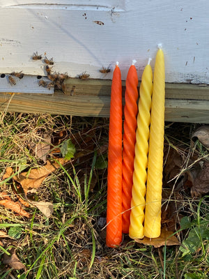 The spiral and twist taper candle are offered in a variety of colors.