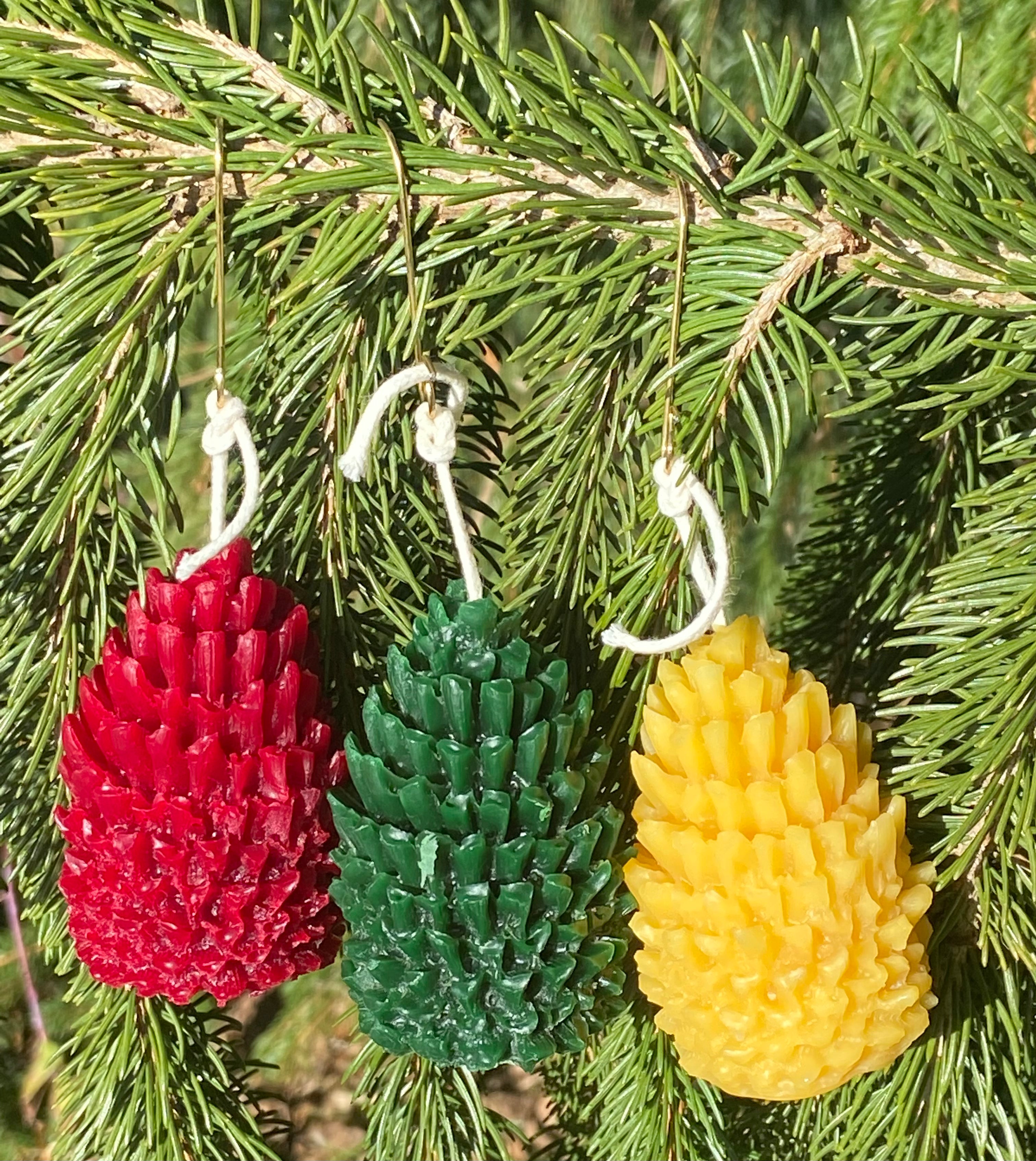 The pine cones are votive size.