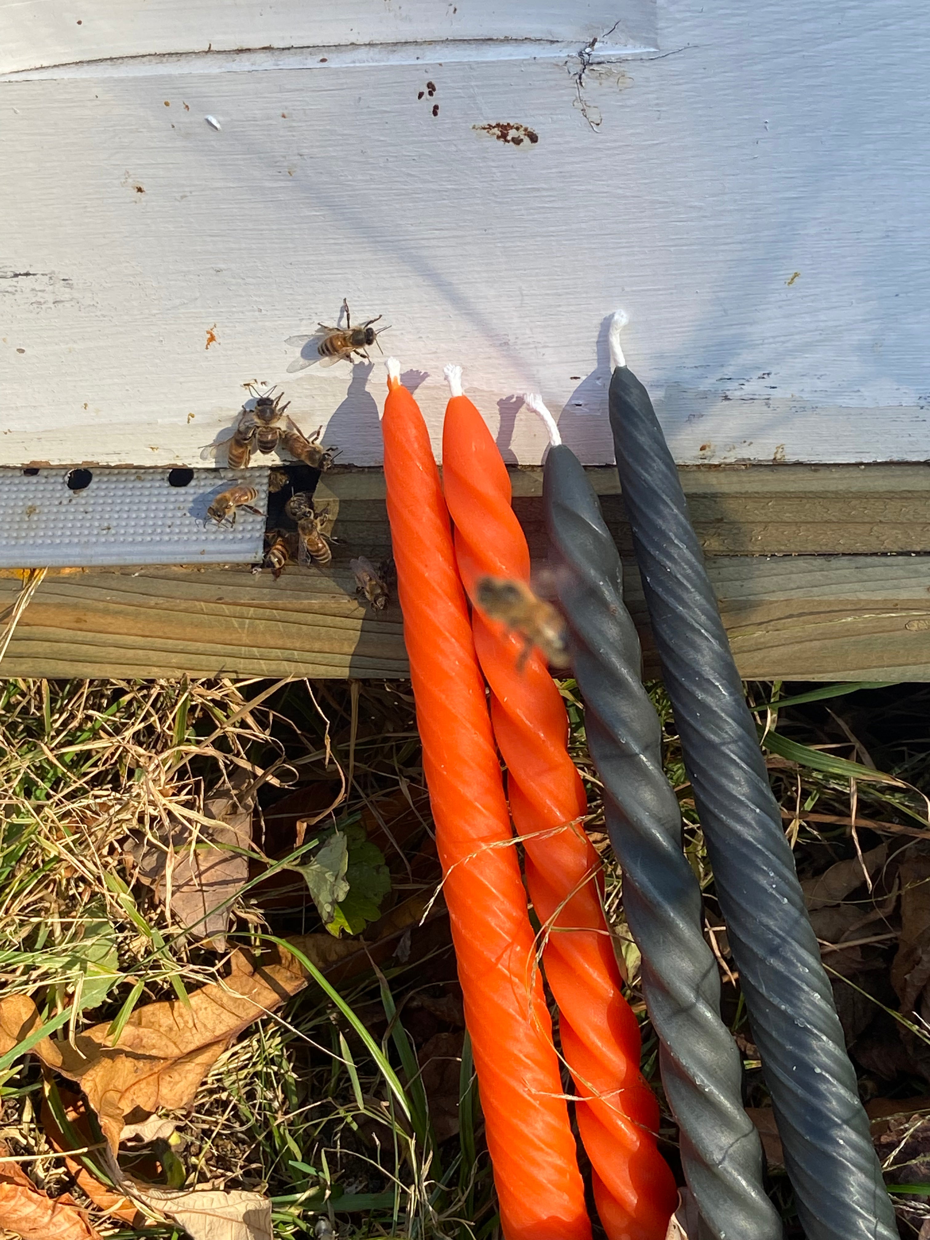 Orange and black colors of the spiral and of the twist taper candles. Propped against an active hive, a honey bee wanted it's close up in the photograph.