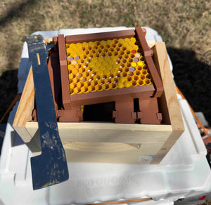 Model Teaching Beehive