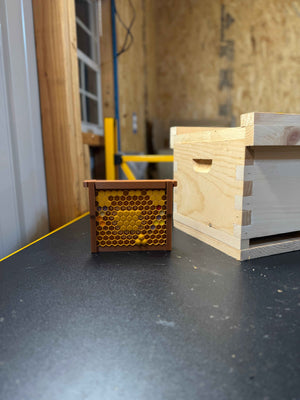 Model Teaching Beehive