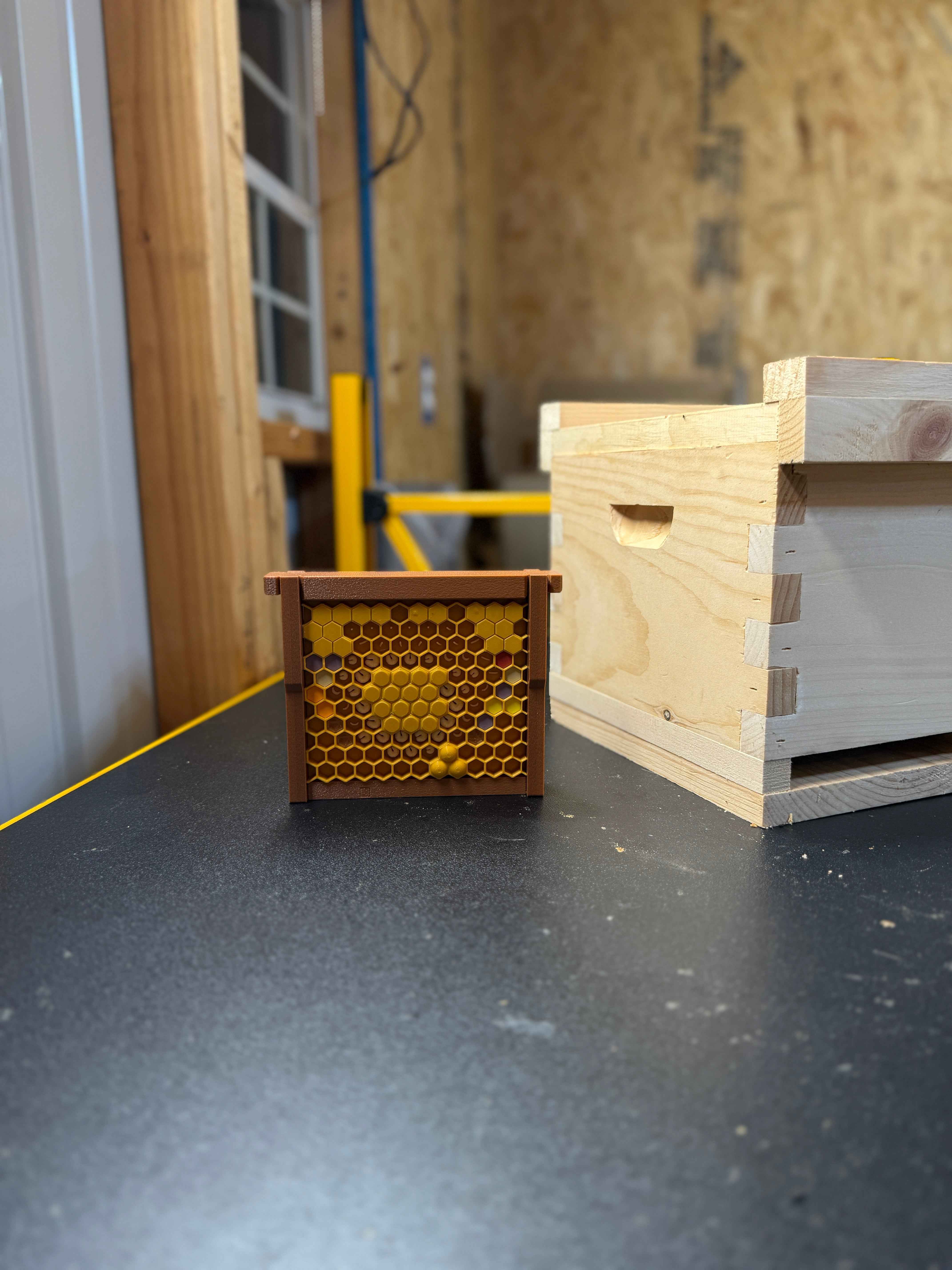Model Teaching Beehive