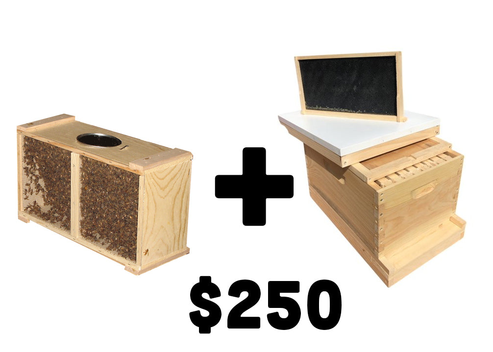 Comes with the queen bee, honey bees, and hive components.